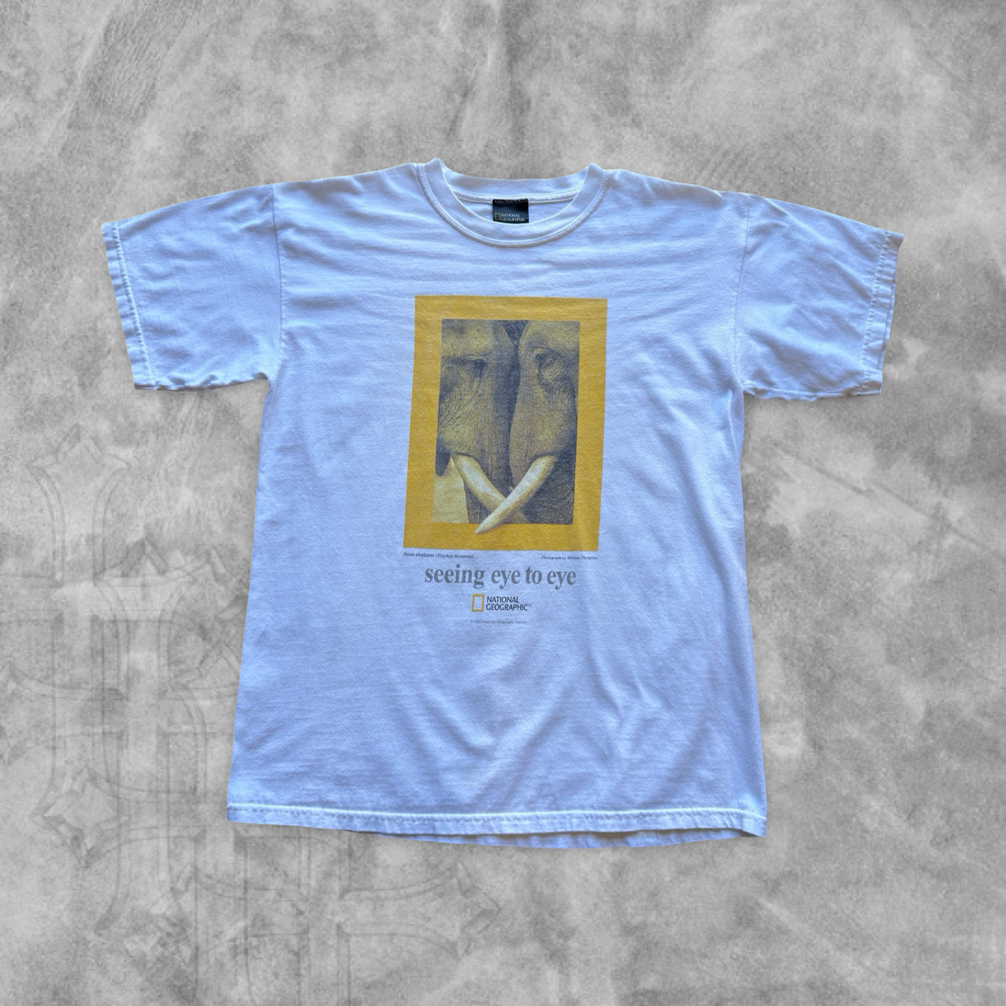 White National Geographic Shirt 2003 (M)