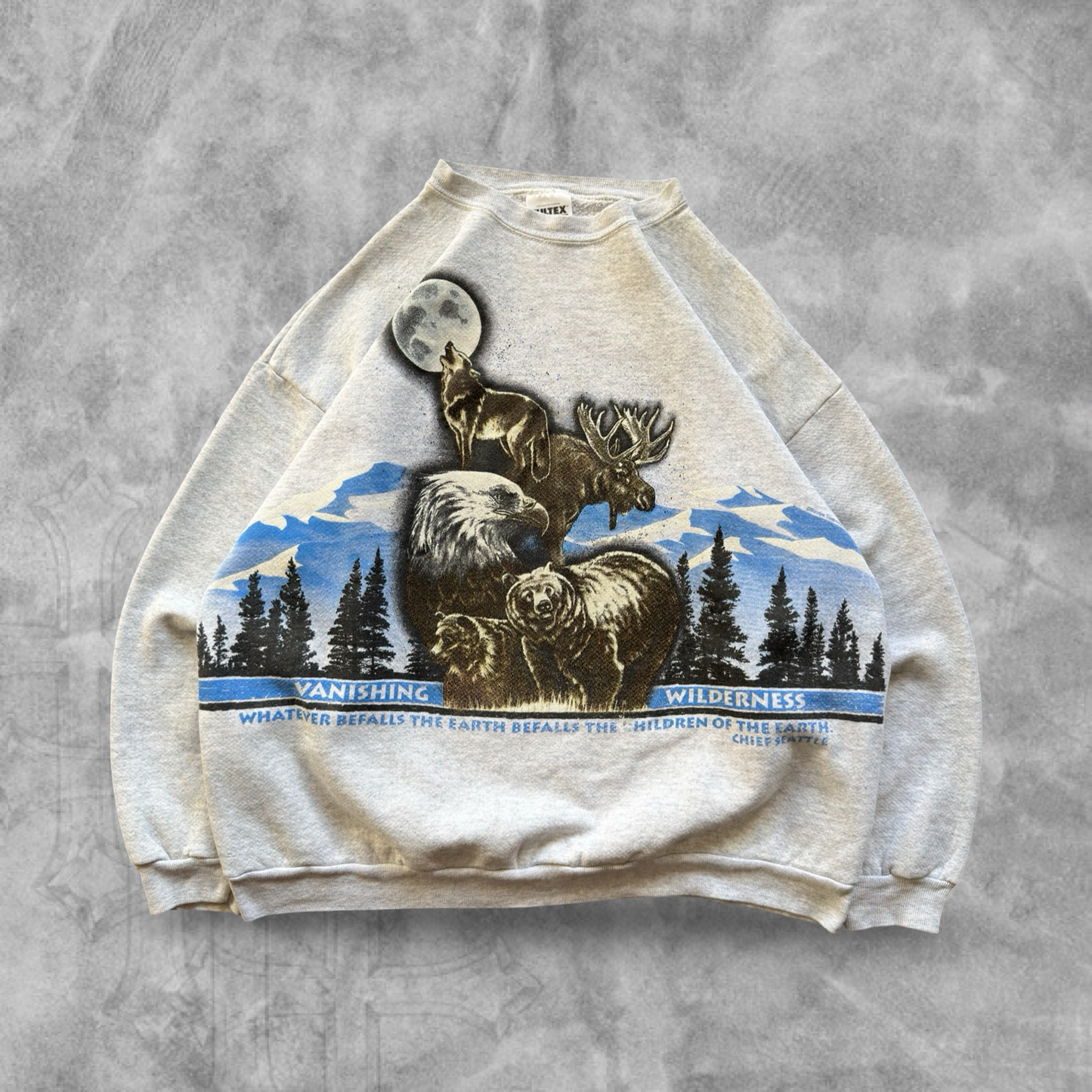 Gray Vanishing Wilderness Wrap Around Sweatshirt 1990s (L)