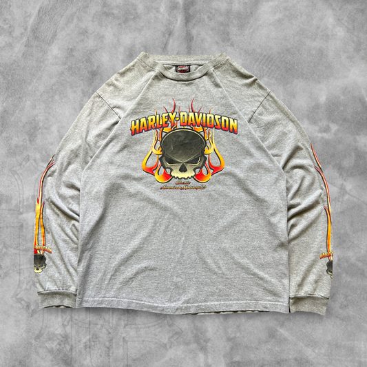 Gray Flame Skull Harley Davison Long Sleeve Shirt 2004 (L)